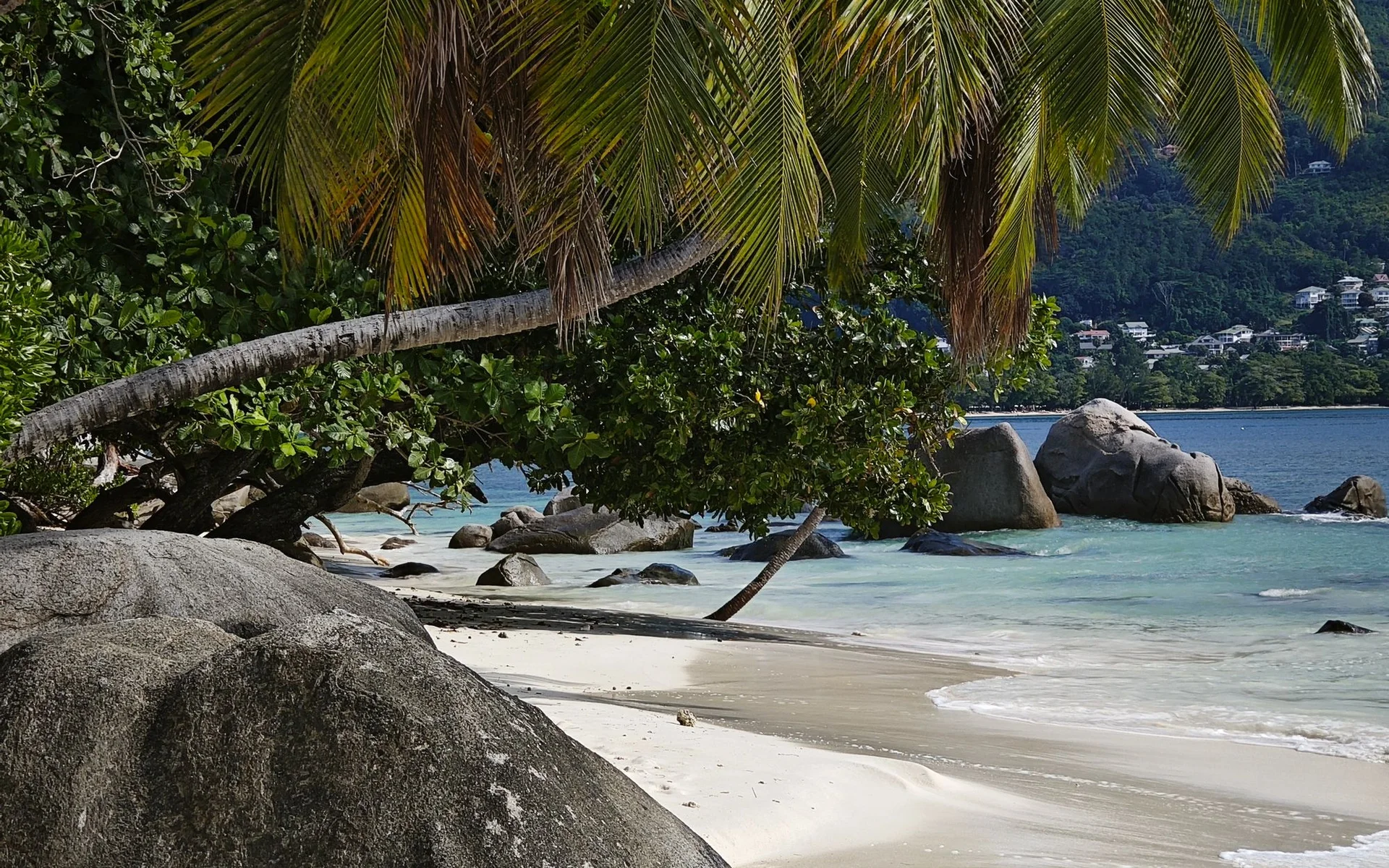 Palmeras y acantilados en la playa de Beau Vallon