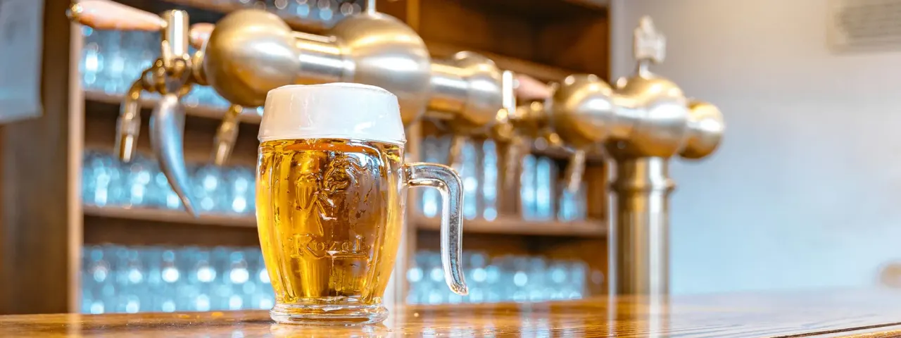 BookNoFees: Restaurante – Kozel u Bohemky – Prague – El cabrito de Bohemka, foto 1
