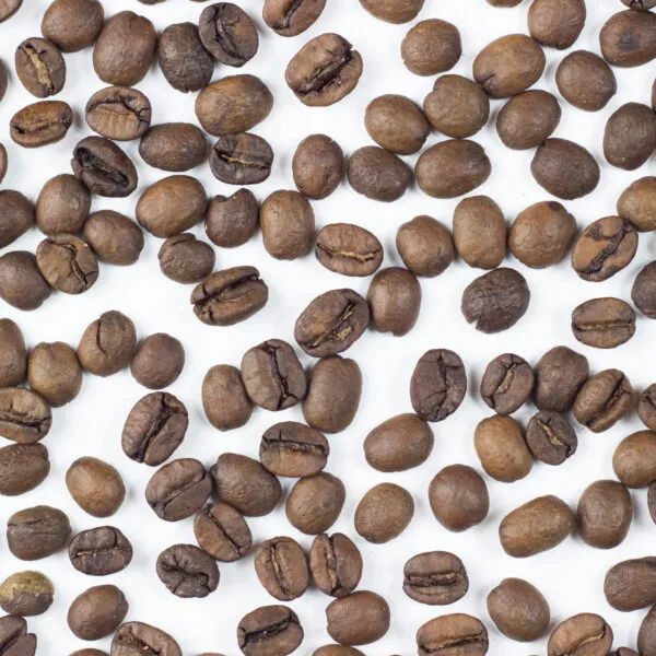 BookNoFees: Cafetería – MTRM Roast Kávéműhely és Bemutatóterem – Budapest – Taller de tostado y sala de degustación de café MTRM Roast, foto 1