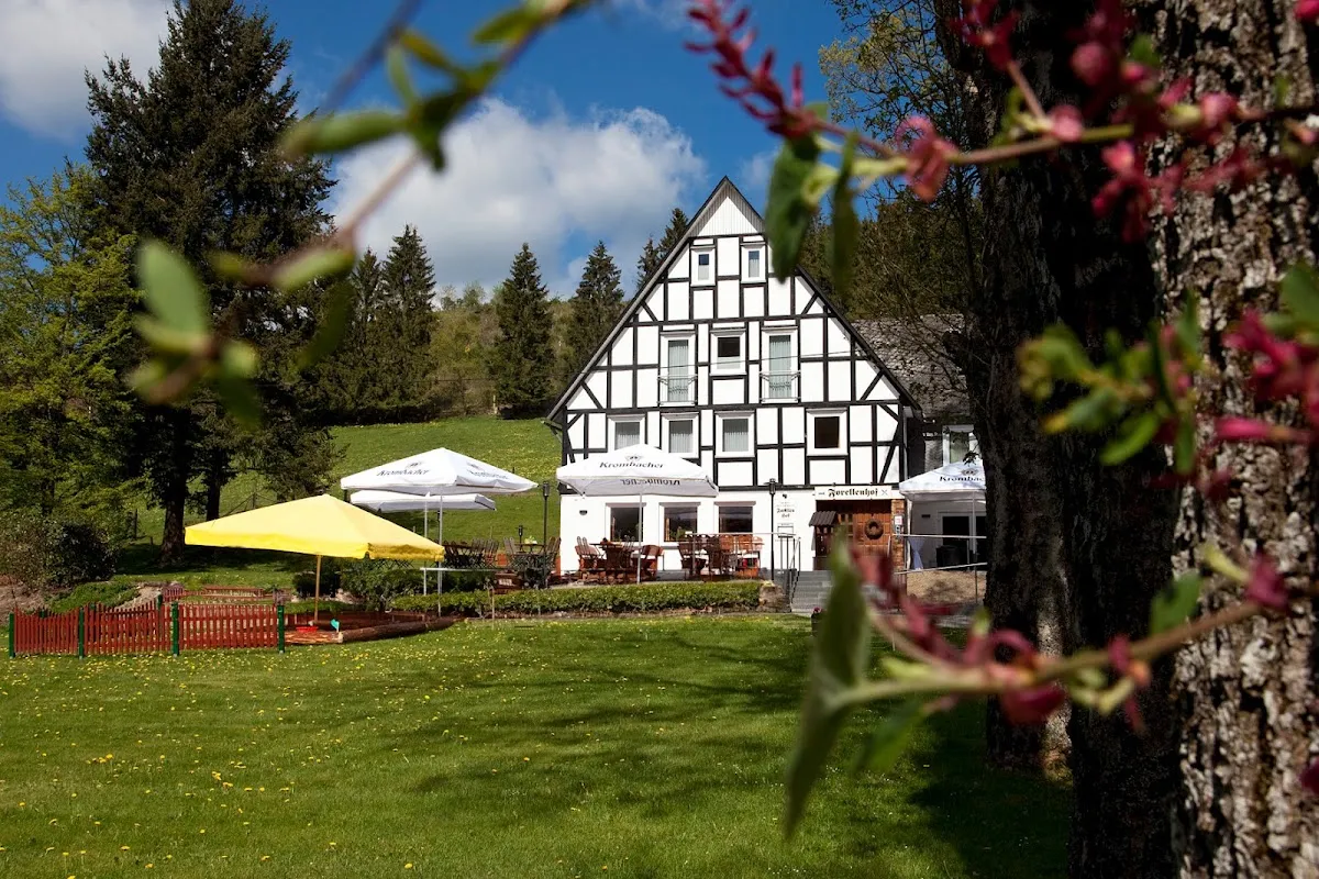 BookNoFees: Restaurante – Forellenhof Boshof – Bad Berleburg – Granja de truchas Boshof, foto 1