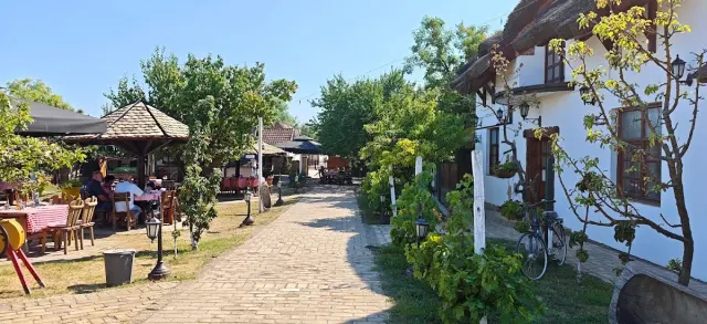 BookNoFees: Restaurante – Kod Ljube – Belgrade – En casa de Ljuba, foto 2
