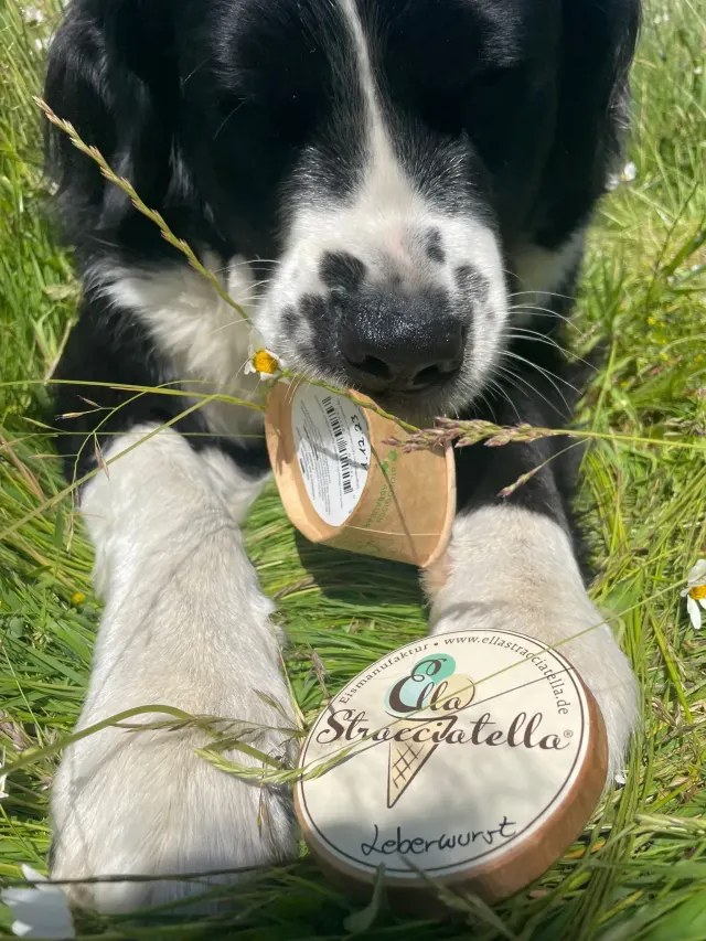 BookNoFees: Heladería – Ella Stracciatella Eismanufaktur – Iserlohn – Ella Stracciatella Eismanufaktur, foto 3