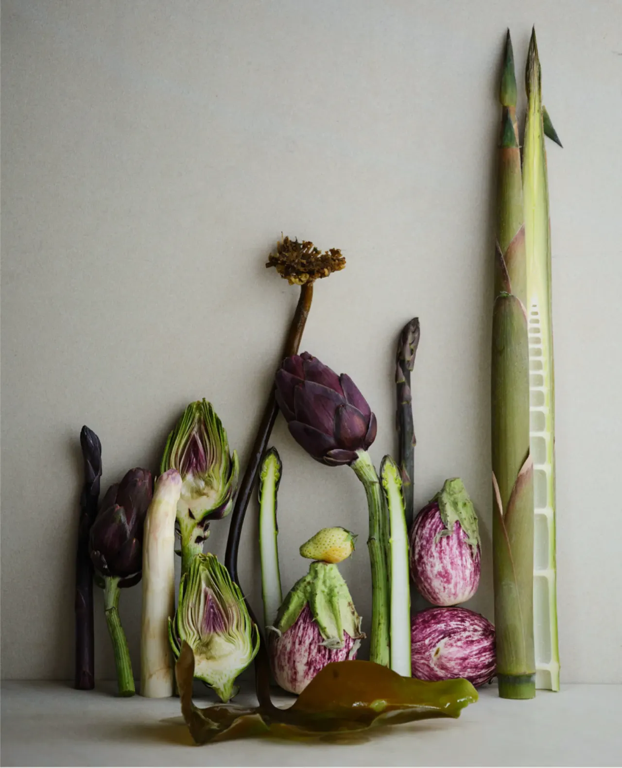 BookNoFees: Restaurante – Noma – Copenhagen – Noma, foto 1