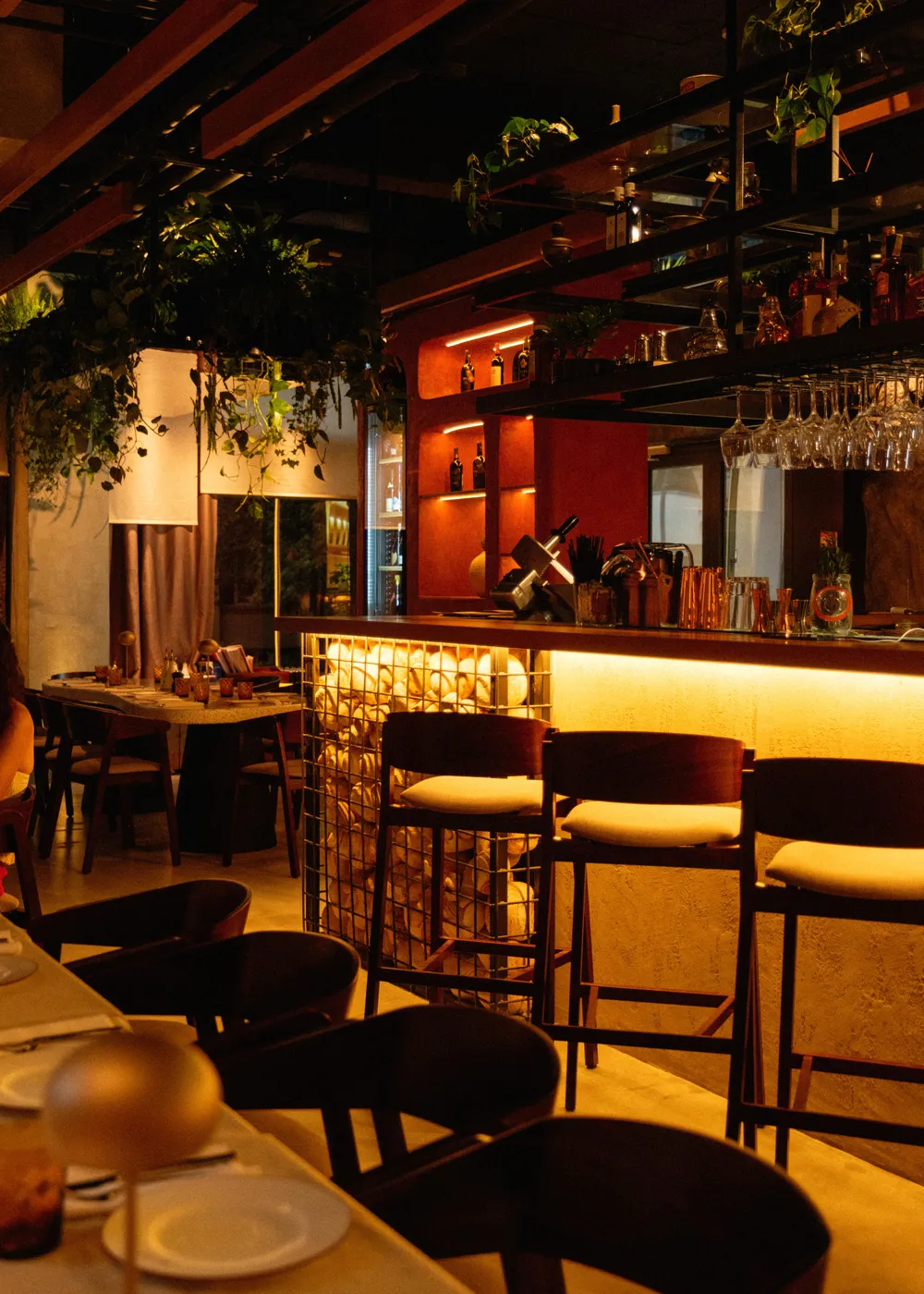 BookNoFees: Restaurante – Tudi's Pizza – Bucharest – Tudi's Pizza, foto 1